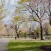 Strategic Management of Concentrated Equity Positions - Denver Prime Capital Financial
